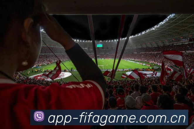 FIFA 官方数据授权认证